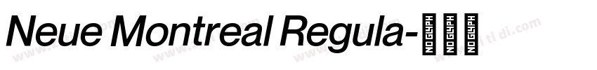 Neue Montreal Regula字体转换